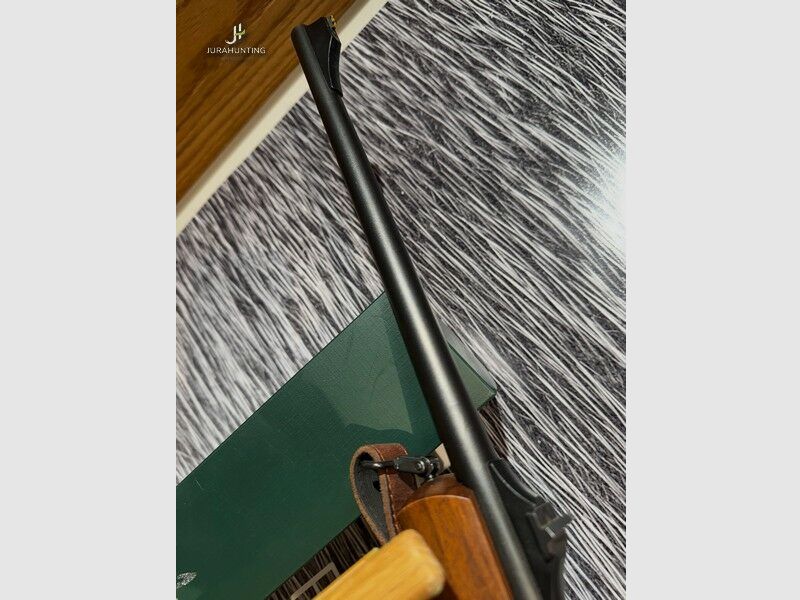 Blaser R93; Swarovski 2,5-10x56 4a LP; Doctor Sight R93