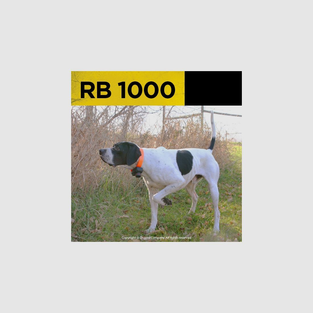 Beeper Halsband Dogtra RB 1000 voor 1 Hond, afbeelding 4 van 4