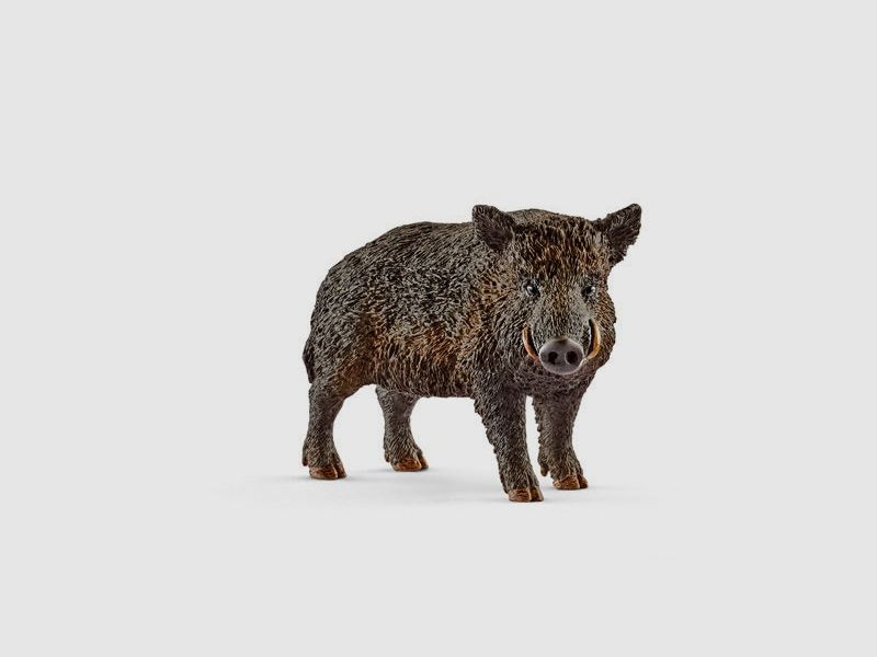 Modèle Sanglier