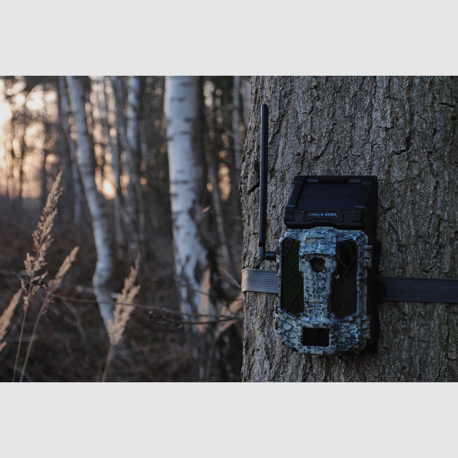 SPYPOINT Wildkamera Link-S Dark