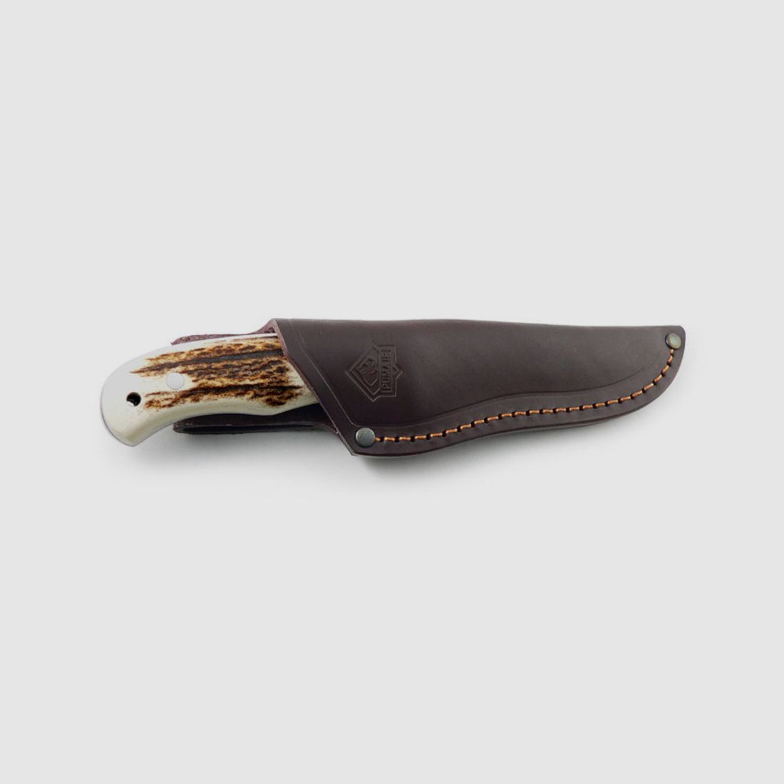 PUMA IP venado, stag