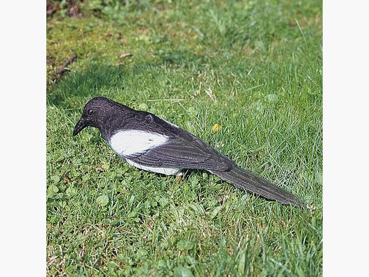 Lockelster in plastica - floccato