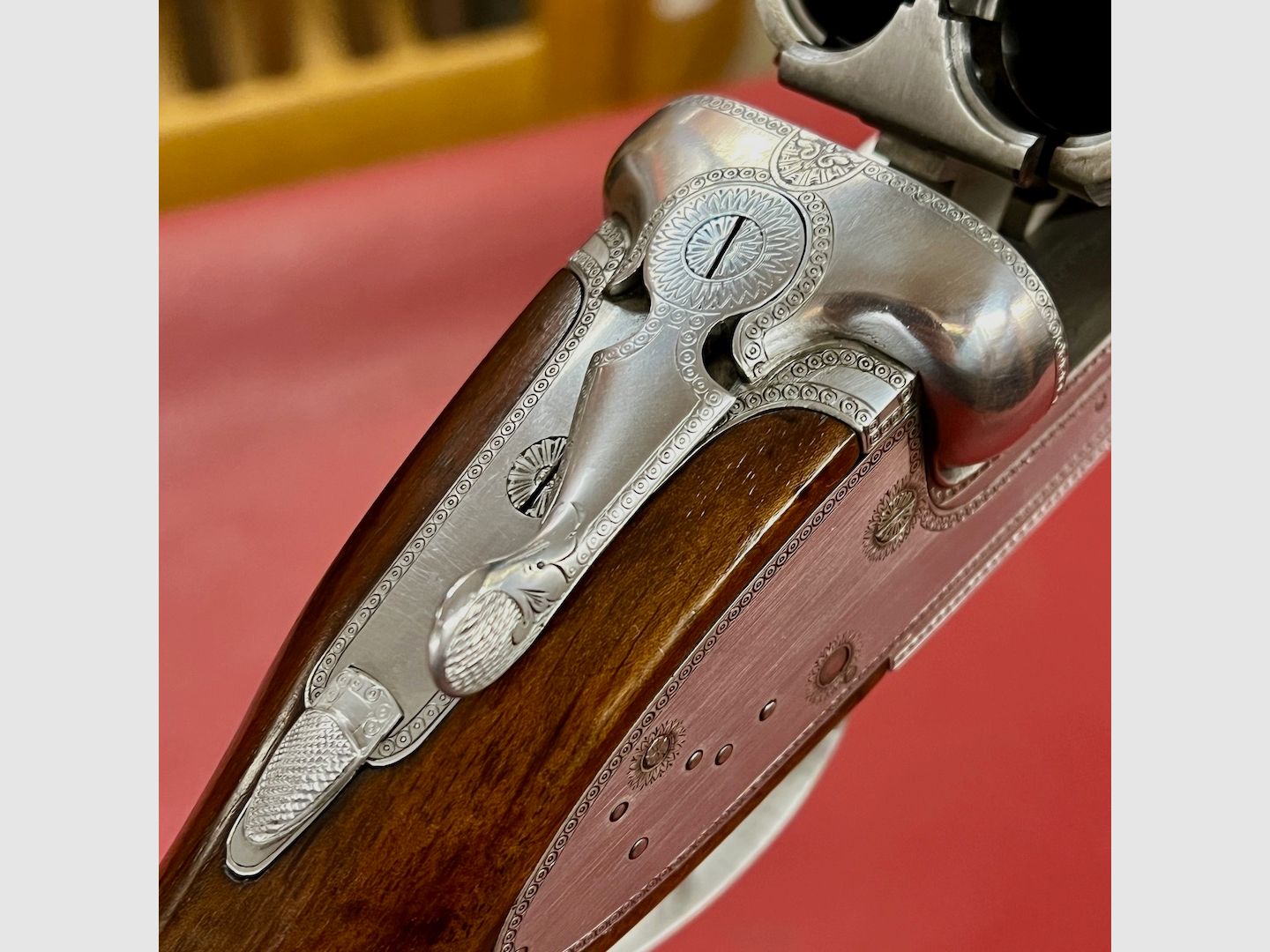 Franchi Albatros, Bild 12 von 13