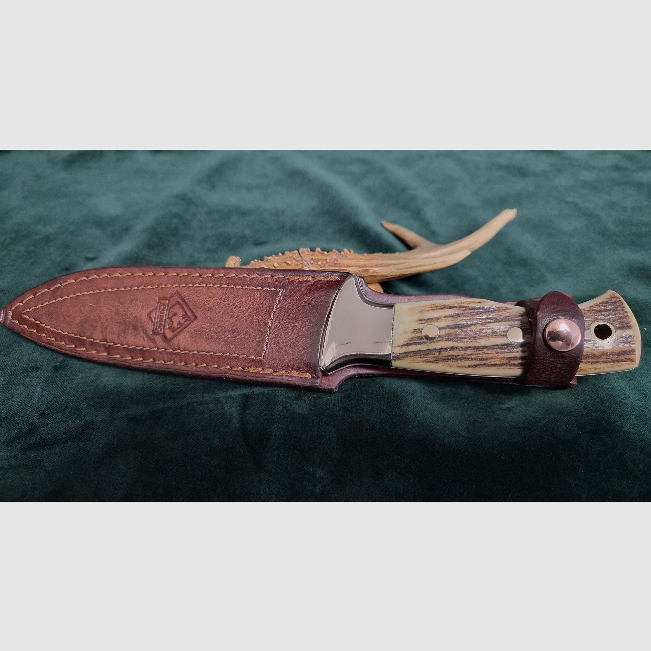 Sehr seltenes Jagdmesser, Puma Fighter Samba Stag Jagdmesser Modell 114003