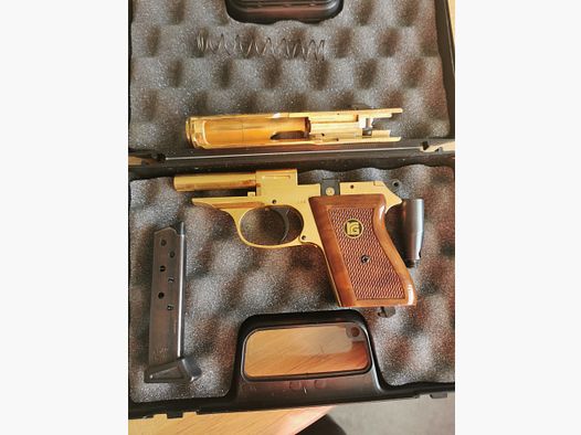 Röhm RG 100 Gold frei ab 18 Jahre