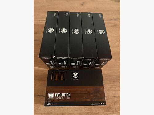 Munition RWS EVOLUTION .30-06 11,9g