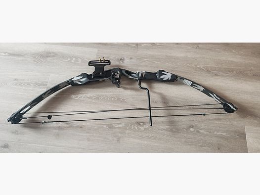 Compound bow, 11 arrows, draw length 28