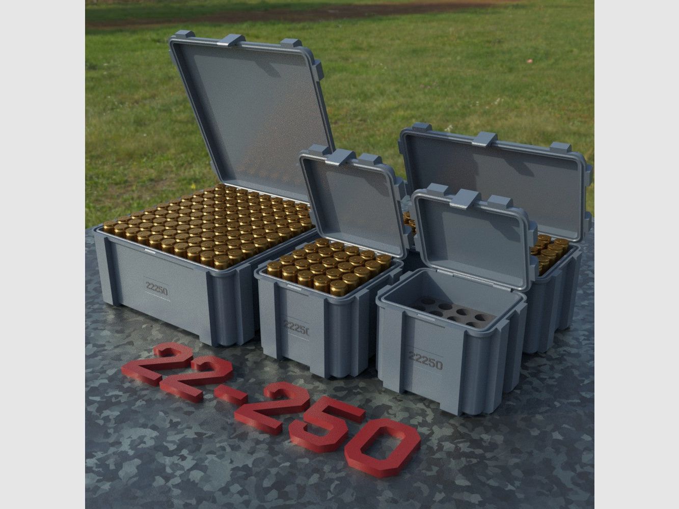 Filamelt Munitionsbox / Ammo Box .22-250 Remington – Patronenbox ‘Klappdeckel’ – 20 / 25 / 50 / 100 Runden