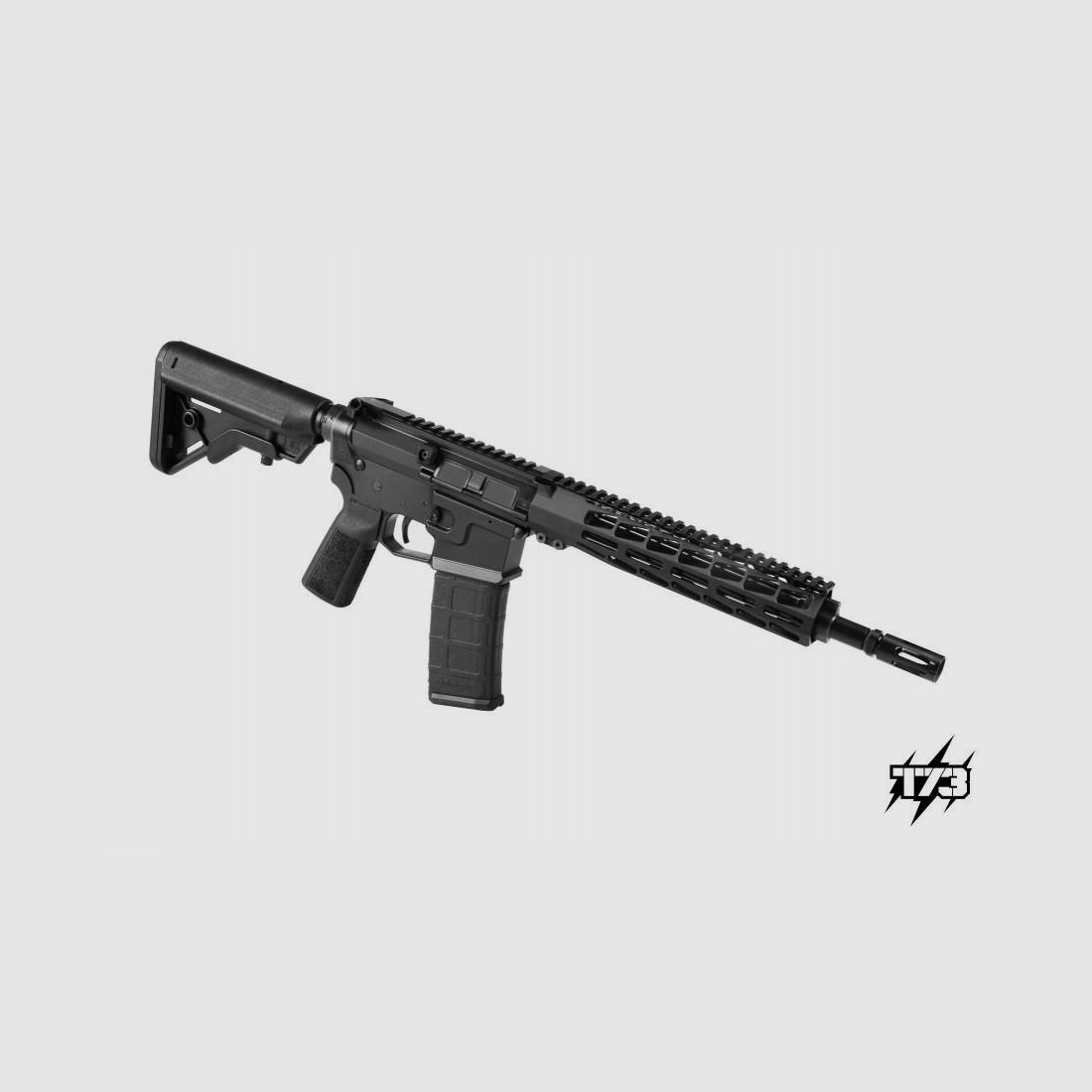 Tactical 73 AR 15, image 1 sur 4