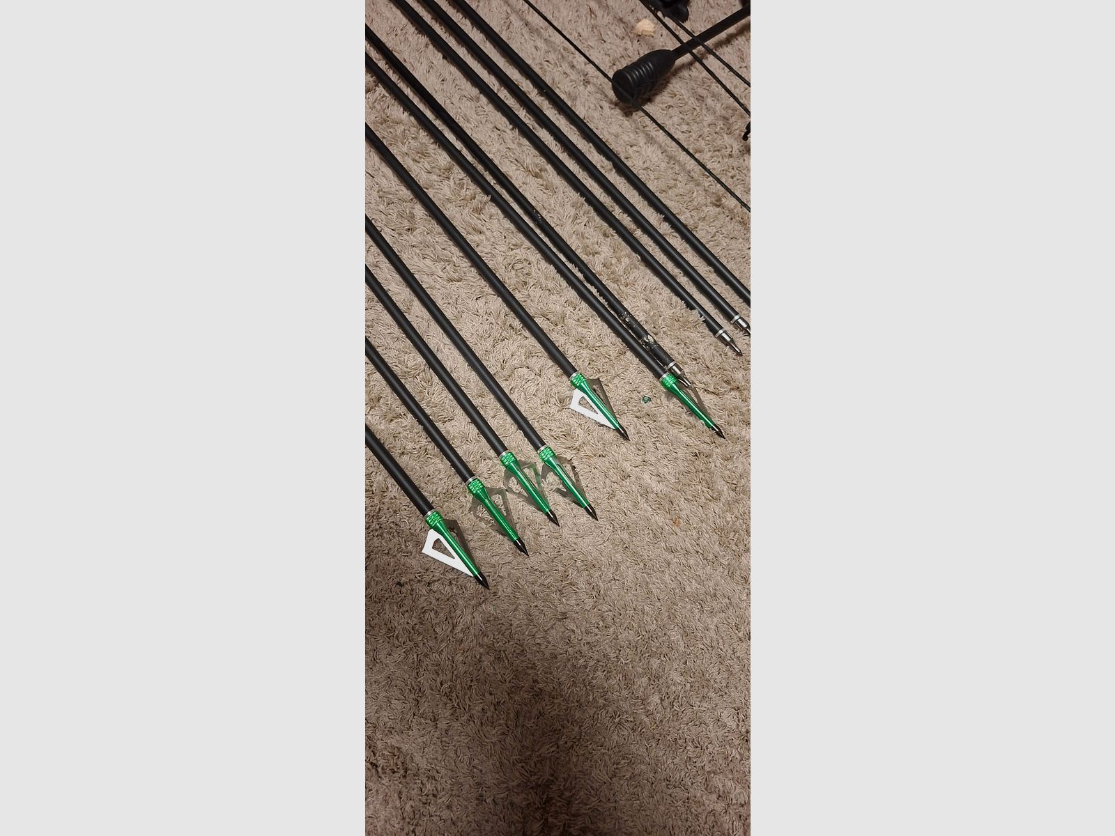 Compound Bow