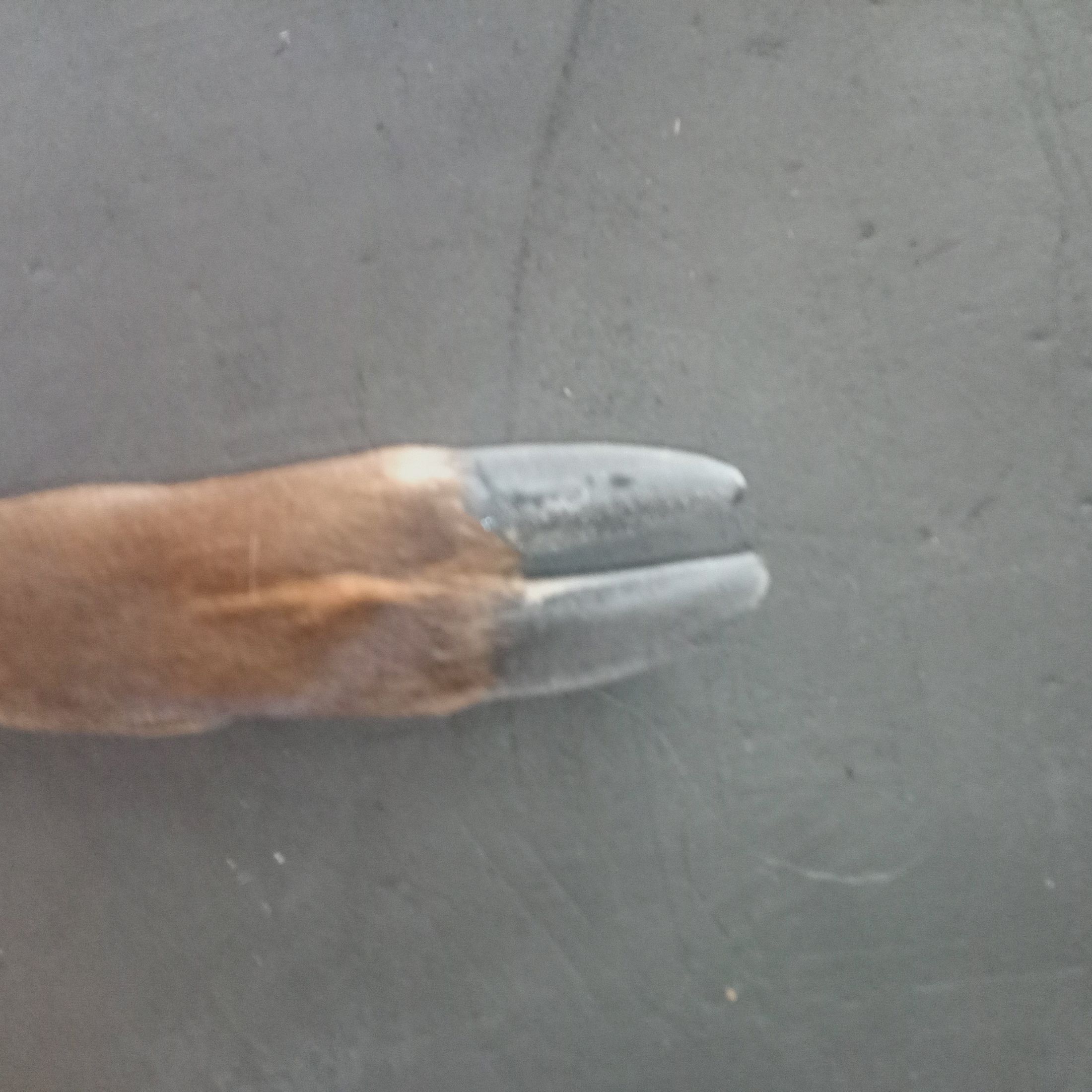 ROTWILDSCHALEN Temporada 2025/2026