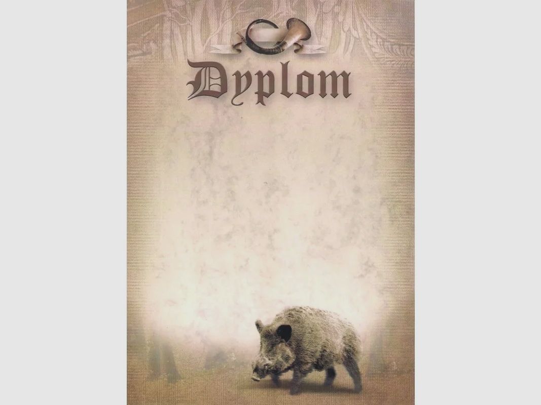 DYPLOM - Jabalí