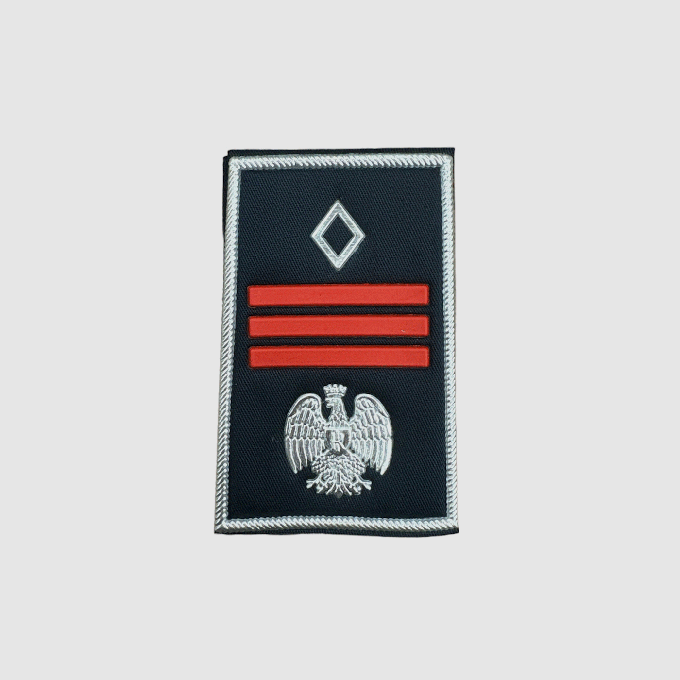 POLICJA PENITENCJARNA – STOPIEŃ TUBULARNY ASYSTENT SZEF KOORDYNATORA (LAMINOWANY) (PARA)