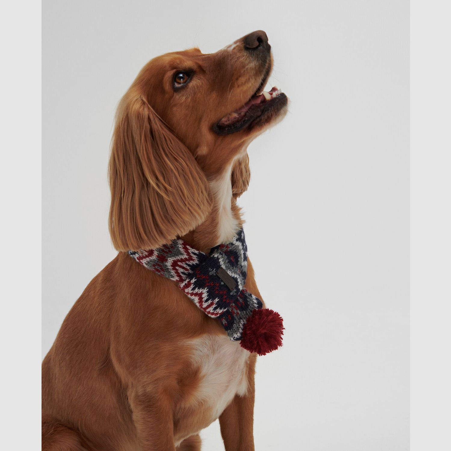 Bufanda para Perros Barbour Fairisle