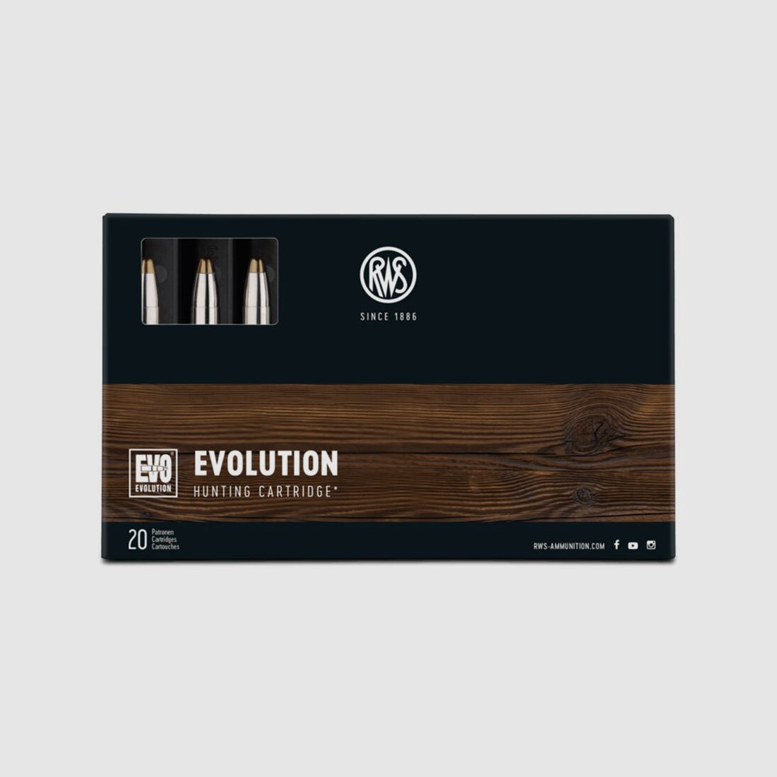 RWS Evo Green 139grs 20St 8x57IRS