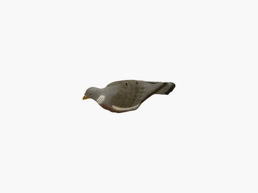 Shell mold for pigeons