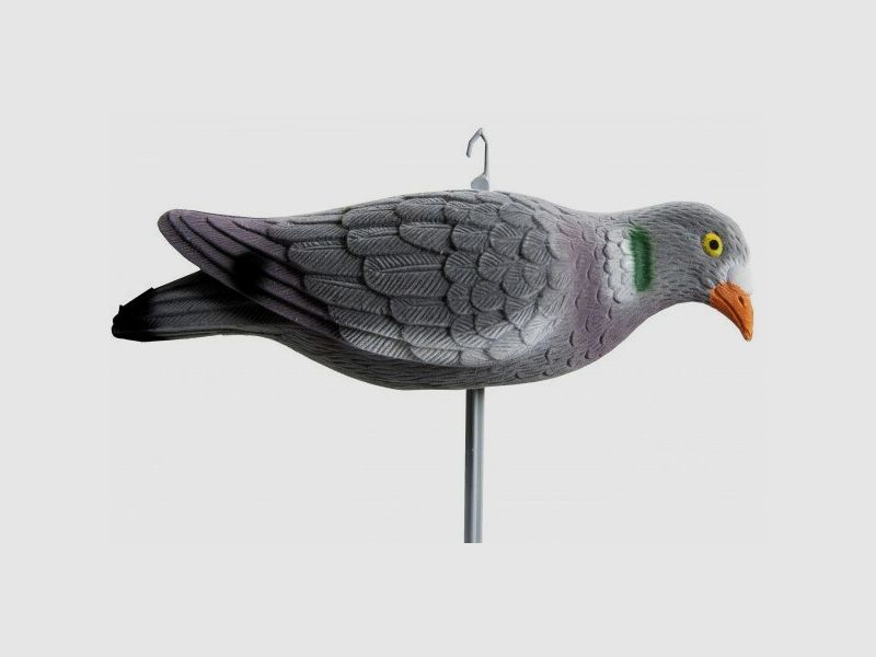 Pigeon appelant en train de se nourrir floqué 33 cm