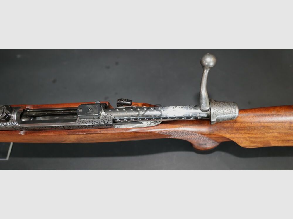 Zoli AZ1900 Luxus