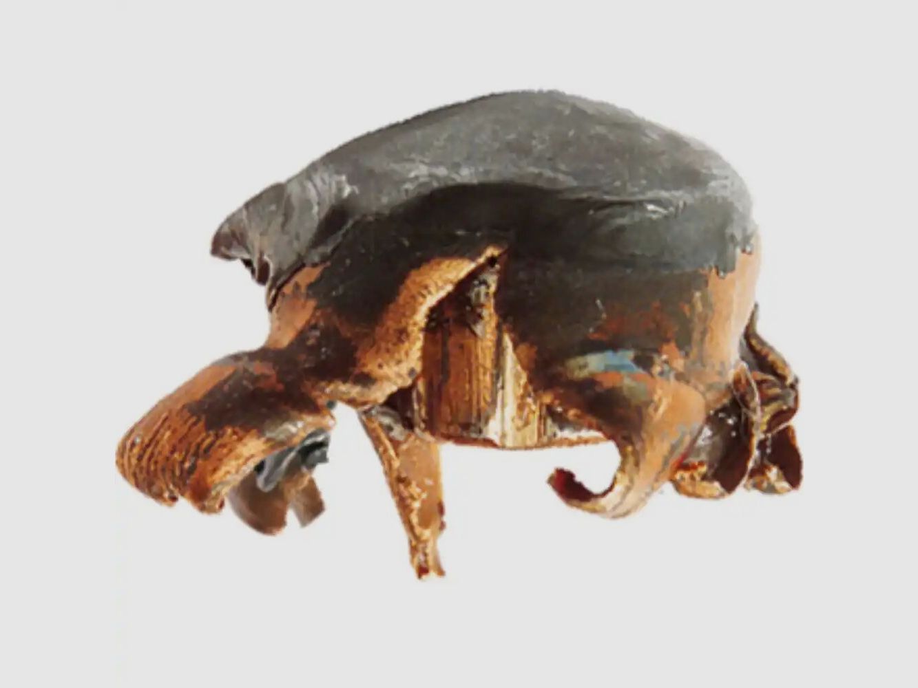 RWS KS 162grs - 20Stk