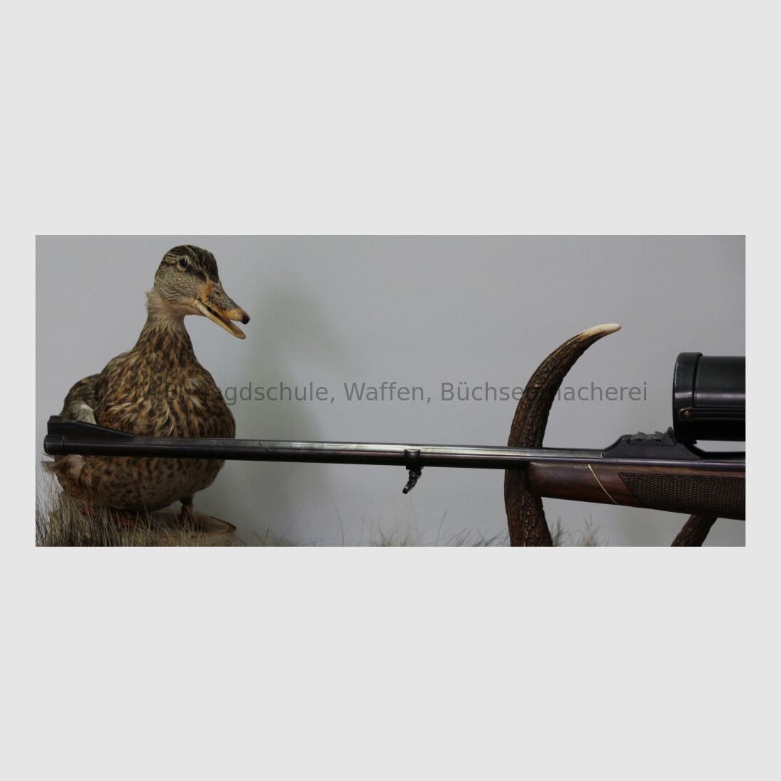 Mauser 2000 met Swarovski Habicht Nova 3-12 x 56 Abs. 8 verlicht - 9,3 x 64