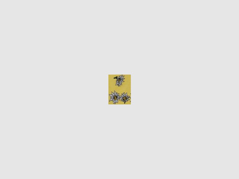 Luise Steiner Bandana Edelweiss Yellow