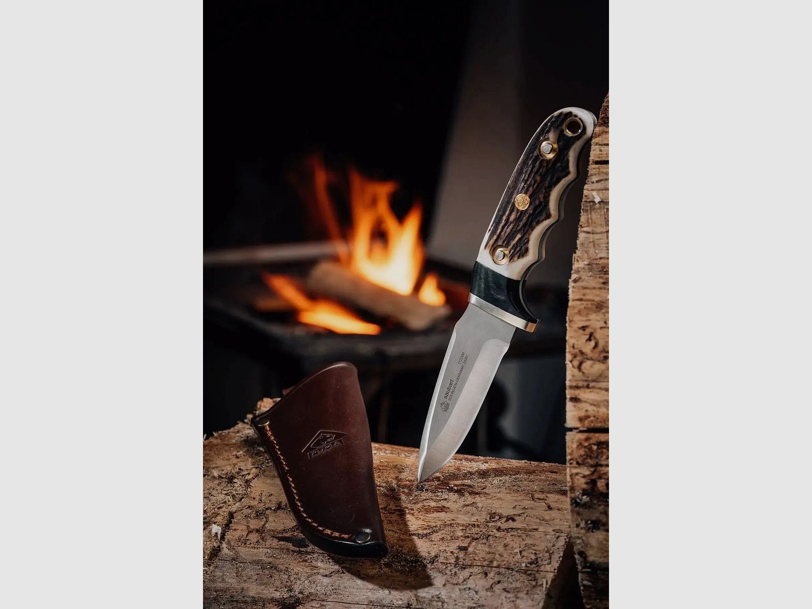 PUMA wild boar, stag horn