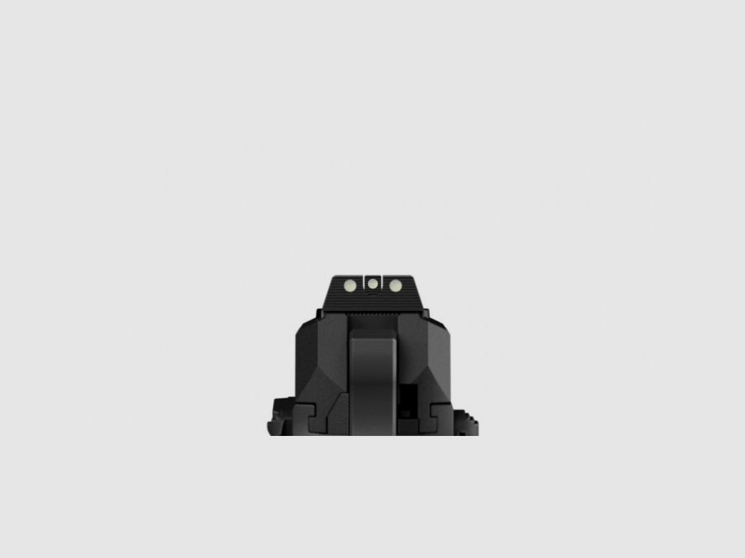 CZ Shadow 2 Compact Carry, Bild 8 von 12