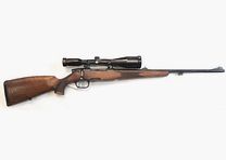 Steyr Mod. M