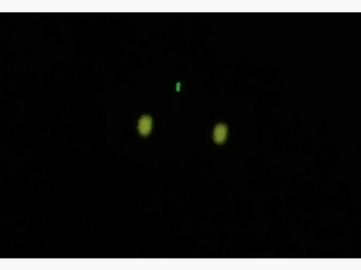 Trijicon Glock Tritium Sight