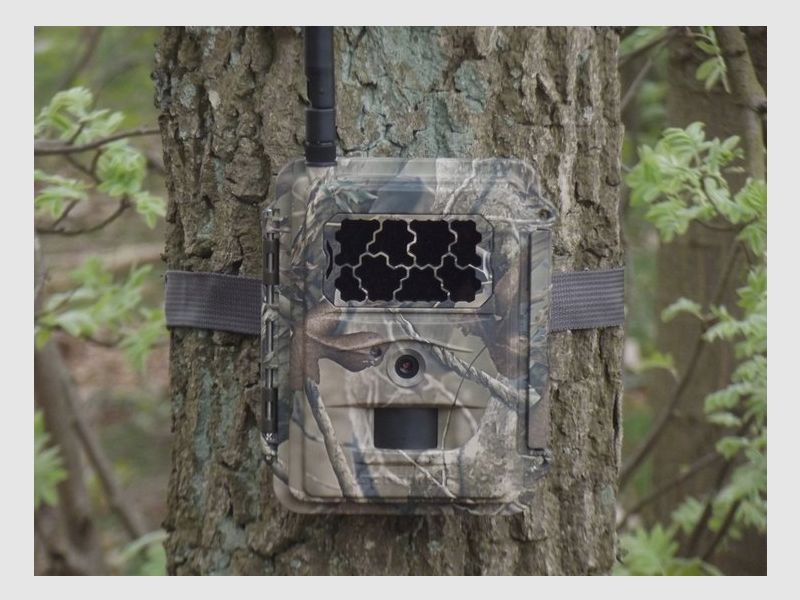 SPROMISE S378E-C 4G/LTE Trail Camera / Surveillance Camera (S328) with 12 MP HD and photo/video transmission to the SUPERSIM App / email, image 1 of 5