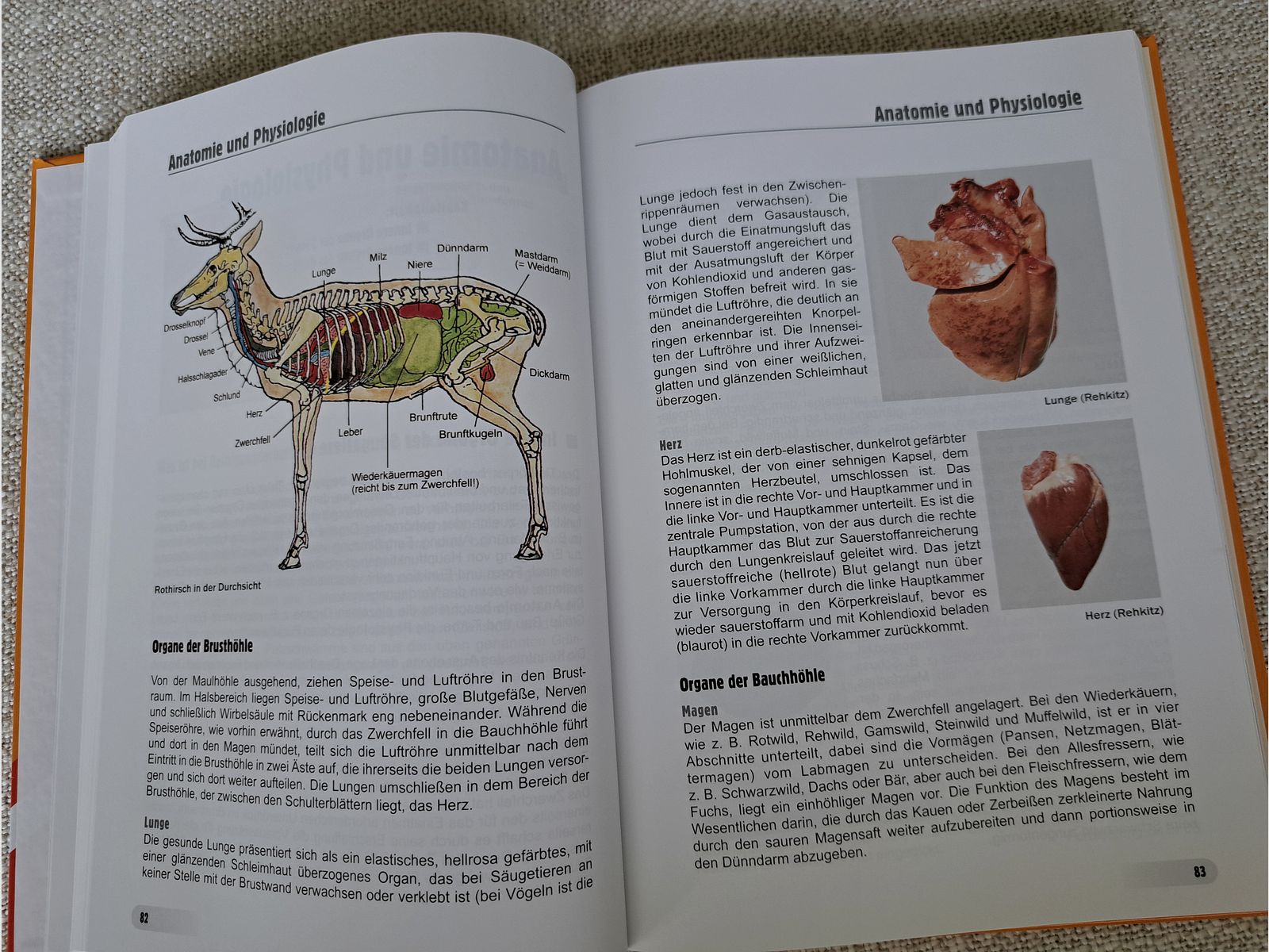 Wildvlees-hygiëne (van Winkelmayer/ Paulsen/ Lebersorger/ Zedka) NIEUW!