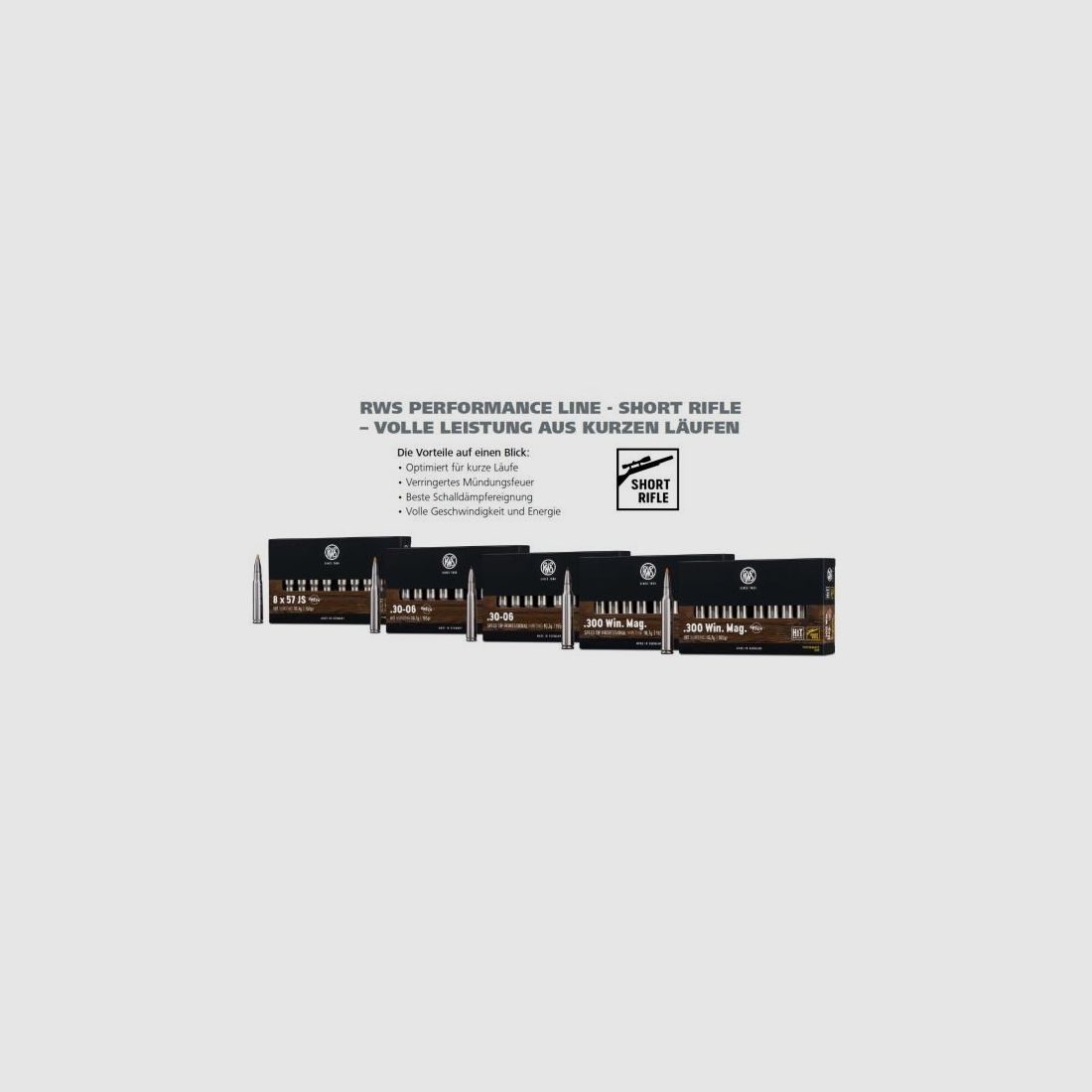 RWS Kugelpatronen 8x57IS SR HIT bleifrei 20 Stk  10,4g/160grs