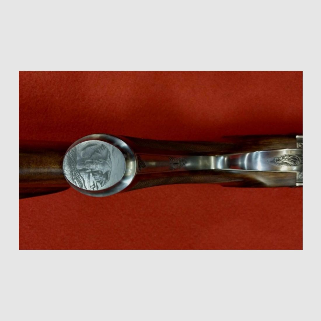 Express Rifle Sabatti Big Five 500 Nitro, image 1 of 8