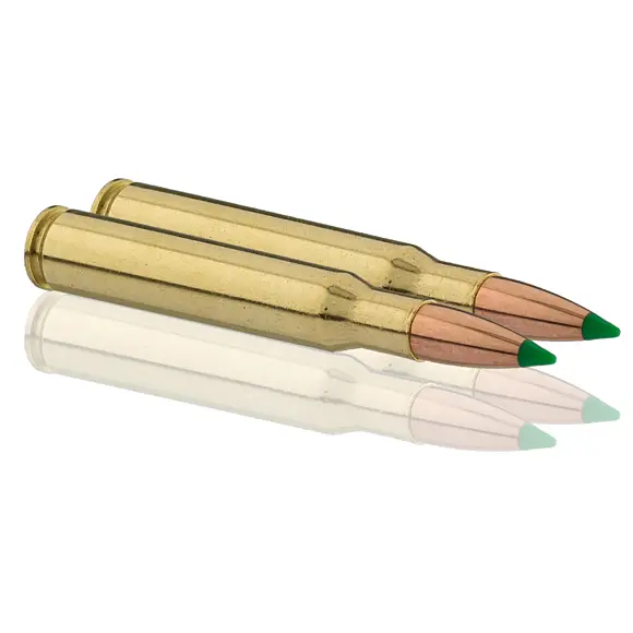 Balles de Chasse Sologne Klassic Calibre 300 Win Nosler Ballistic Tip, image 3 sur 10