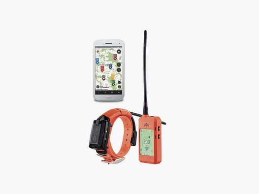 Pack GPS und Dressur Dogtrace X30T