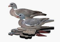FUD LOCKTAUBE 6 stuks flexibel Top Fold Up Decoy van NRA