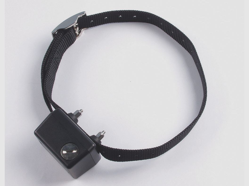 Collier anti-aboiement