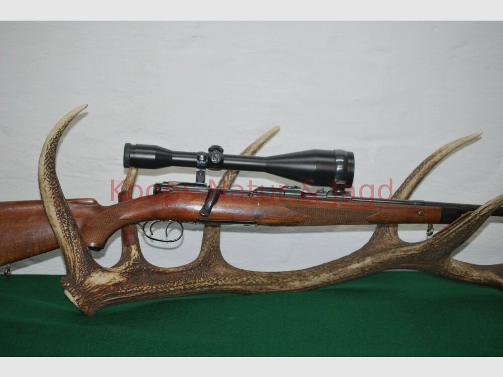 Steyr Mannlicher GK