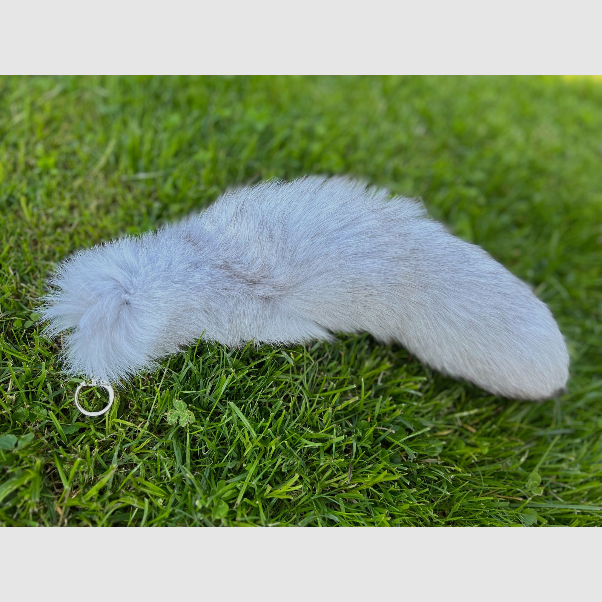 Echte Arctische Fuchsschwanz met sleutelhanger, afbeelding 2 van 3