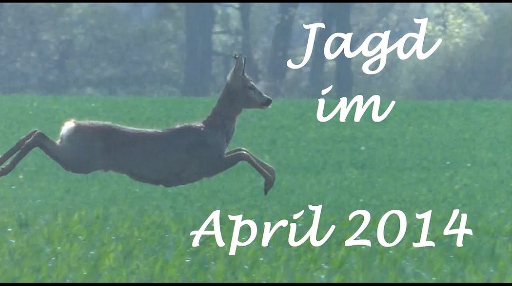 Jagd April 2014