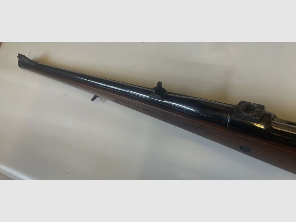 Zastava Stutzen + Burris Fast Fire III