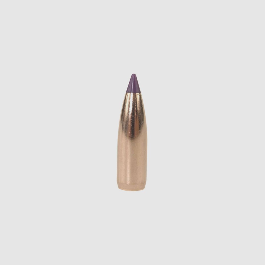 Nosler Geschoss Ballistic Tip Varmint 6mm/.243 70GR Spitzer 100 Stück