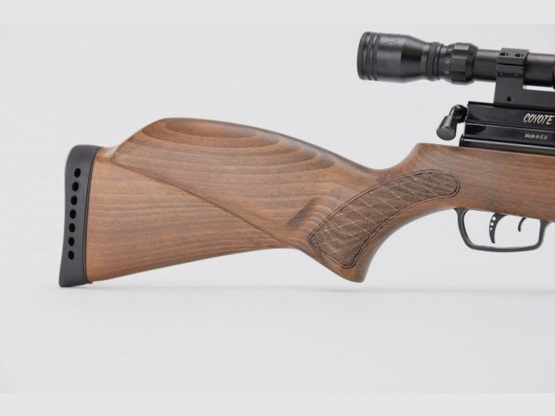 Gamo Coyote Wood 5.5 mm con cannocchiale e pompa PCP, immagine 4 di 6