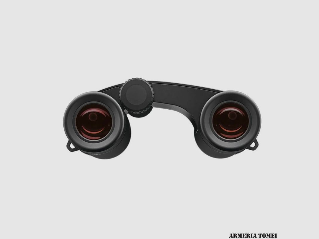 BINOCULAR – ZEISS – VICTORY POCKET 10×25, image 3 of 6