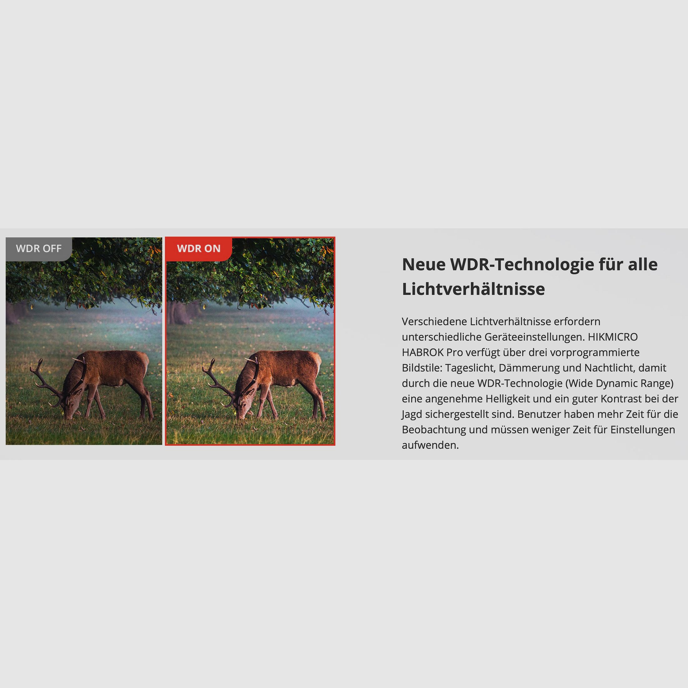 Hikmicro Binocular Habrok Pro HQ50L Wärmebild/Nachtsicht/Digitalkamera 850Nm 3840 × 2160