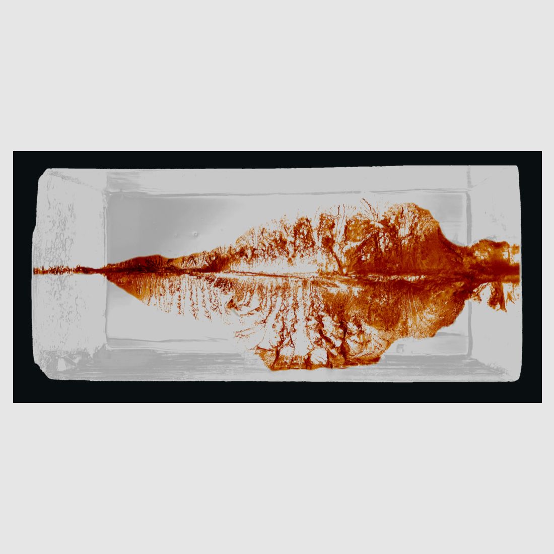 RWS 2430781 9.3x62 Driven Hunt Short Rifle 16.2g/250grs.