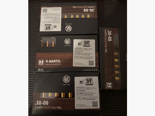 RWS 30-06 HM Kupferholhspitz 11,7g