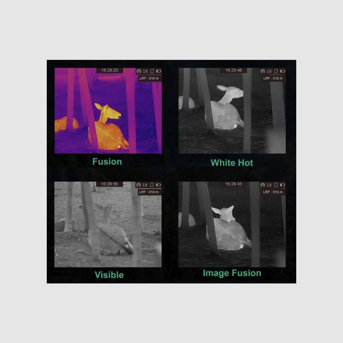 Fusionsgerät Hikmicro Gryphon GH35L LRF