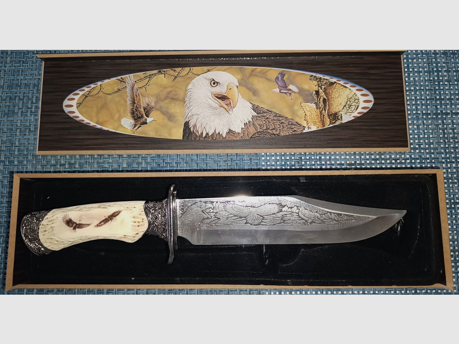 Bowie, chasse, couteaux vitrine