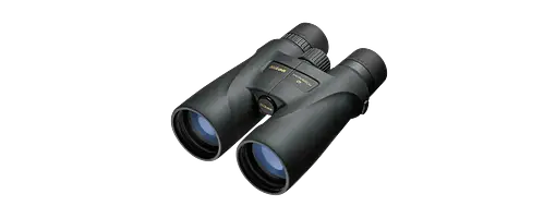 Nikon Fernglas Monarch 5 8x56